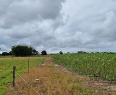 ÁREA DE 269.028,54 M² NA RJ-240 (ESTRADA DO PORTO DO AÇU), EM CAMPO DA PRAIA.