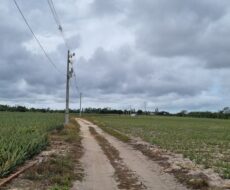 ÁREA DE 269.028,54 M² NA RJ-240 (ESTRADA DO PORTO DO AÇU), EM CAMPO DA PRAIA.