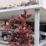 CASA DUPLEX NA RUA GIL DE GÓIS, Nº , CENTRO