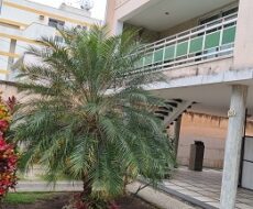 CASA DUPLEX NA RUA GIL DE GÓIS, Nº , CENTRO