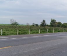 ÁREA COMERCIAL DE 26.200,00 M², NA BR-101 (CAMPOS X RIO DE JANEIRO), URURAÍ.