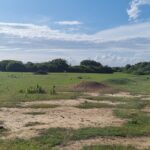 ÁREA COMERCIAL COM 520.000,00M² NO PORTO DO AÇU. Localização: à 150 metros do Porto do Açú.