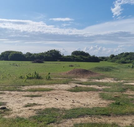 ÁREA COMERCIAL COM 520.000,00M² NO PORTO DO AÇU. Localização: à 150 metros do Porto do Açú.