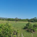 ÁREA COMERCIAL COM 260.116,50M² À CEM METROS DA ENTRADA DO ESTALEIRO DO PORTO DO AÇU.