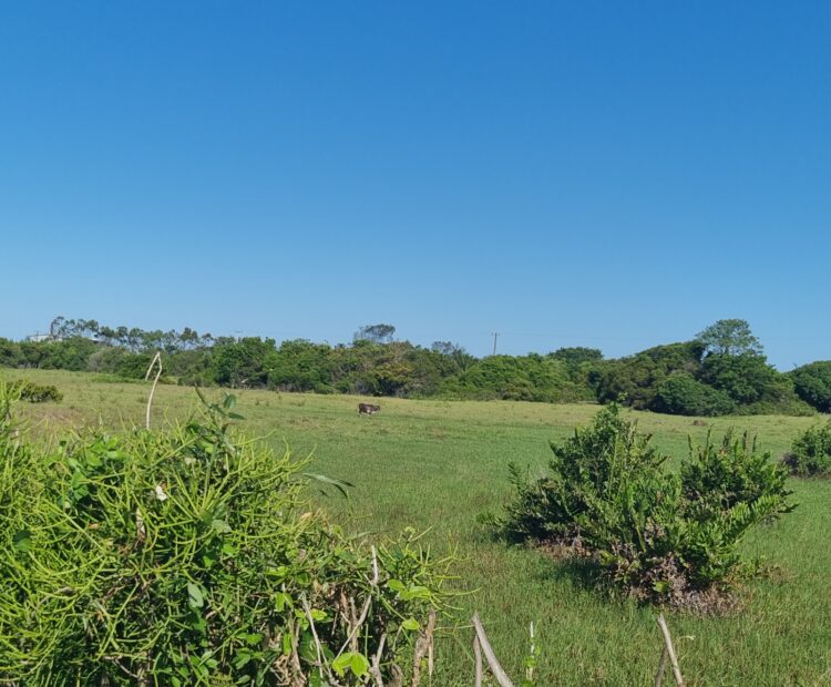 ÁREA COMERCIAL COM 260.116,50M² À CEM METROS DA ENTRADA DO ESTALEIRO DO PORTO DO AÇU.