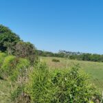 ÁREA COMERCIAL COM 260.116,50M² À CEM METROS DA ENTRADA DO ESTALEIRO DO PORTO DO AÇU.