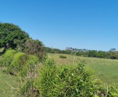 ÁREA COMERCIAL COM 260.116,50M² À CEM METROS DA ENTRADA DO ESTALEIRO DO PORTO DO AÇU.
