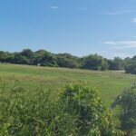 ÁREA COMERCIAL COM 260.116,50M² À CEM METROS DA ENTRADA DO ESTALEIRO DO PORTO DO AÇU.