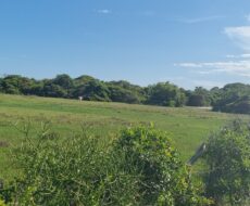 ÁREA COMERCIAL COM 260.116,50M² À CEM METROS DA ENTRADA DO ESTALEIRO DO PORTO DO AÇU.