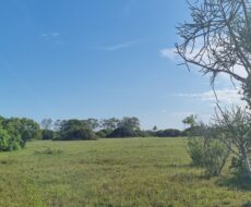 ÁREA COMERCIAL COM 260.116,50M² À CEM METROS DA ENTRADA DO ESTALEIRO DO PORTO DO AÇU.