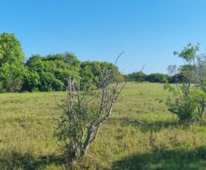 ÁREA COMERCIAL COM 260.116,50M² À CEM METROS DA ENTRADA DO ESTALEIRO DO PORTO DO AÇU.