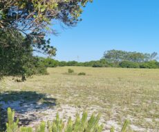 ÁREA COMERCIAL COM 260.116,50M² À CEM METROS DA ENTRADA DO ESTALEIRO DO PORTO DO AÇU.