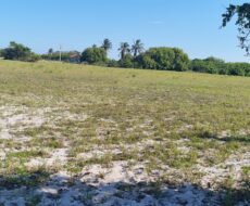 ÁREA COMERCIAL COM 260.116,50M² À CEM METROS DA ENTRADA DO ESTALEIRO DO PORTO DO AÇU.