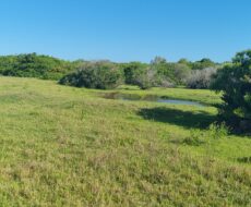 ÁREA COMERCIAL COM 260.116,50M² À CEM METROS DA ENTRADA DO ESTALEIRO DO PORTO DO AÇU.
