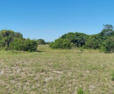 ÁREA COMERCIAL COM 260.116,50M² À CEM METROS DA ENTRADA DO ESTALEIRO DO PORTO DO AÇU.