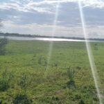 ÁREA COMERCIAL COM 520.000,00M² NO PORTO DO AÇU. Localização: à 150 metros do Porto do Açú.