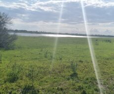 ÁREA COMERCIAL COM 520.000,00M² NO PORTO DO AÇU. Localização: à 150 metros do Porto do Açú.