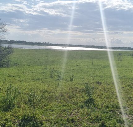 ÁREA COMERCIAL COM 520.000,00M² NO PORTO DO AÇU. Localização: à 150 metros do Porto do Açú.