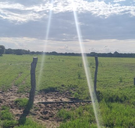 ÁREA COMERCIAL COM 520.000,00M² NO PORTO DO AÇU. Localização: à 150 metros do Porto do Açú.