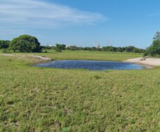 ÁREA COMERCIAL COM 520.000,00M² NO PORTO DO AÇU. Localização: à 150 metros do Porto do Açú.