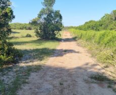 ÁREA COMERCIAL COM 520.000,00M² NO PORTO DO AÇU. Localização: à 150 metros do Porto do Açú.