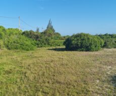 ÁREA COMERCIAL COM 260.116,50M² À CEM METROS DA ENTRADA DO ESTALEIRO DO PORTO DO AÇU.