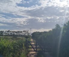 ÁREA COMERCIAL COM 260.116,50M² À CEM METROS DA ENTRADA DO ESTALEIRO DO PORTO DO AÇU.