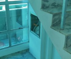 PRÉDIO COMERCIAL NA RUA DOS ANDRADAS ESQUINA COM RUA SANTA EFIGÊNIA