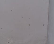 PRÉDIO NA RUA AGNALDO MACHADO, Nº 385 (ESQUINA COM A TRAVESSA SÃO TARCÍSIO), JÓCKEY CLUB. 23 KITNETS.