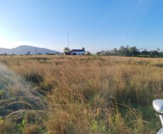 ÁREA NA BR 101 ( CAMPOS X RIO DE JANEIRO )