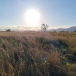 ÁREA NA BR 101 ( CAMPOS X RIO DE JANEIRO )