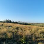 ÁREA NA BR 101 ( CAMPOS X RIO DE JANEIRO )