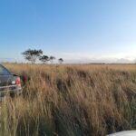 ÁREA NA BR 101 ( CAMPOS X RIO DE JANEIRO )