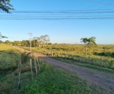 ÁREA NA BR 101 ( CAMPOS X RIO DE JANEIRO )