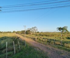 ÁREA NA BR 101 ( CAMPOS X RIO DE JANEIRO )