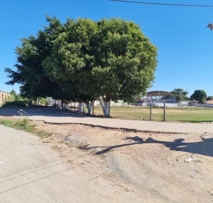 ÁREA DE 146.420,00M² NA ESTRADA DO JACÚ.