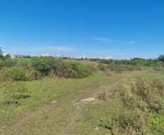 ÁREA DE 146.420,00M² NA ESTRADA DO JACÚ.