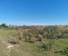 ÁREA DE 146.420,00M² NA ESTRADA DO JACÚ.