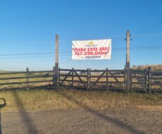 ÁREA NA BR 101 ( CAMPOS X RIO DE JANEIRO )