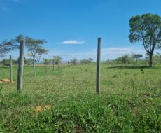 EXCELENTES ÁREAS DE 11.575,17 M² NA ESTRADA DO BREJO GRANDE