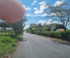 EXCELENTES ÁREAS DE 11.575,17 M² NA ESTRADA DO BREJO GRANDE