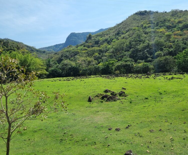 FAZENDA DE 49,10 ALQUEIRES NO MUNICIPIO DE TRAJANO DE MORAES