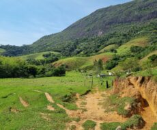 FAZENDA DE 49,10 ALQUEIRES NO MUNICIPIO DE TRAJANO DE MORAES