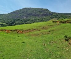 FAZENDA DE 49,10 ALQUEIRES NO MUNICIPIO DE TRAJANO DE MORAES