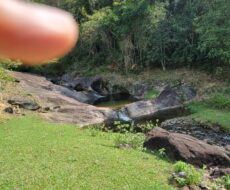 FAZENDA DE 49,10 ALQUEIRES NO MUNICIPIO DE TRAJANO DE MORAES