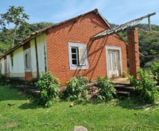 FAZENDA DE 49,10 ALQUEIRES NO MUNICIPIO DE TRAJANO DE MORAES