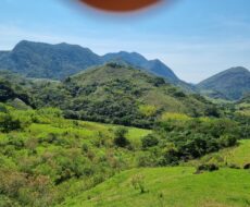 FAZENDA DE 49,10 ALQUEIRES NO MUNICIPIO DE TRAJANO DE MORAES