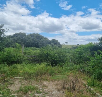EXCELENTES ÁREAS DE 150.000,00 M² NO PARQUE SANTOS DUMONT