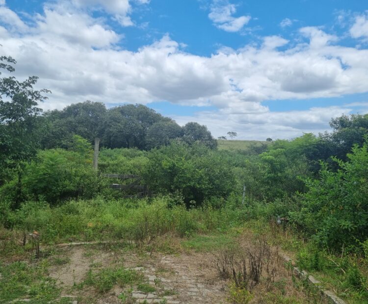 EXCELENTES ÁREAS DE 150.000,00 M² NO PARQUE SANTOS DUMONT