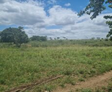 EXCELENTES ÁREAS DE 150.000,00 M² NO PARQUE SANTOS DUMONT